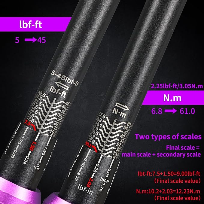 3/8" Inch Drive Click Torque Wrench 5-45 FT-LB/6.8-61N.M, ±3% Accuracy, Dual-Direction Click Professional Torque Wrench, Dual Range Scales Graduated in FT.LB and N.M, Purple