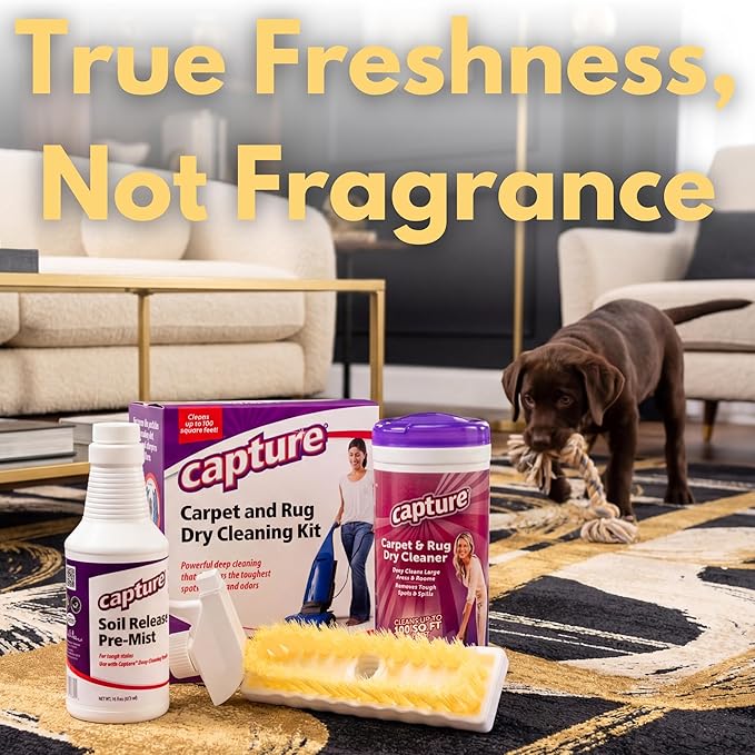 Capture Carpet Total Care Kit 100 - Home Couch and Upholstery, Car Rug, Dogs & Cats Pet Carpet Cleaner Solution - Strength Odor Eliminator, Stains Spot Remover, Non Liquid & No Harsh Chemical