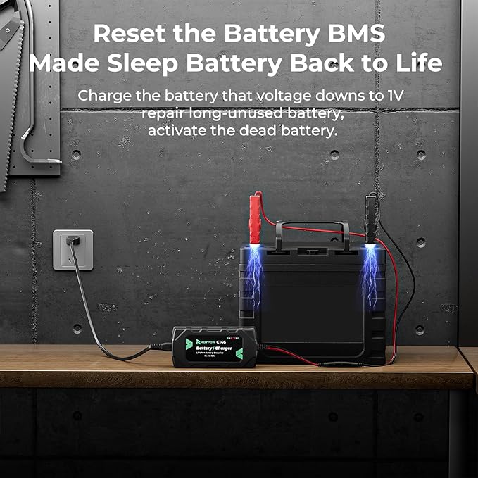 12V 10A Lithium Battery Charger, RoyPow 12V 10A LiFePO4 Battery Charger, 12V Automatic Trickle Battery Chargers, 10A Battery Maintainer for LiFePO4 Batteries, Lithium Batteries, Car, Marine