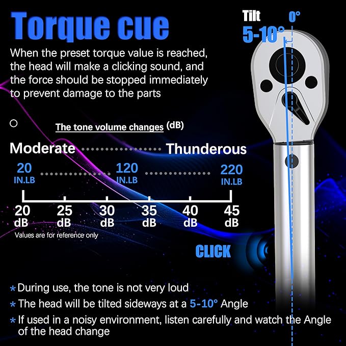1/4-inch Drive Click Torque Wrench 20-220 in.lb / 2.3-24.9 Nm/Heavy Duty/Dual Direction/High hardness/Long lifetime/Stored In a Solid Case