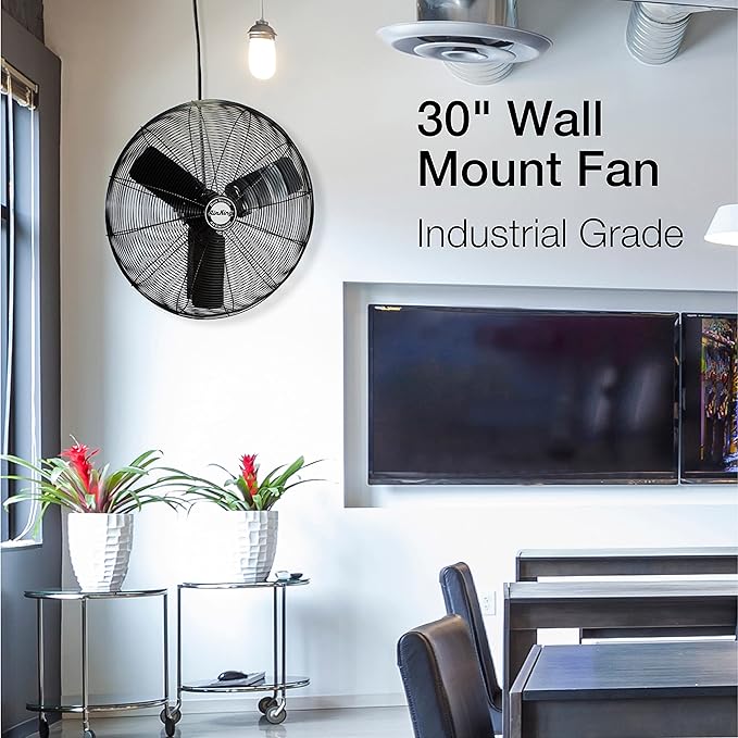 Air King 9030 30-Inch 1/4-Horsepower Industrial Grade Wall Mount Fan with 7,400-CFM, Black Finish