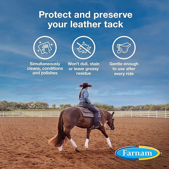 Farnam Leather New Easy-Polishing Glycerine Saddle Soap and Leather Saddle Cleaner, Protects and Preserves Leather, Cleans, Conditions and Polishes, 32 Oz. (Pack of 2)