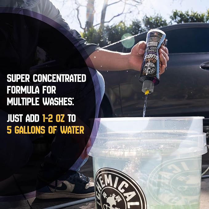 Chemical Guys HydroSuds Ceramic Shine High Foaming Car Wash Soap (Works with Foam Cannons, Foam Guns or Bucket Washes) For Cars, Trucks, Motorcycles, RVs & More, 32 fl oz, Berry Scent - CWS21232