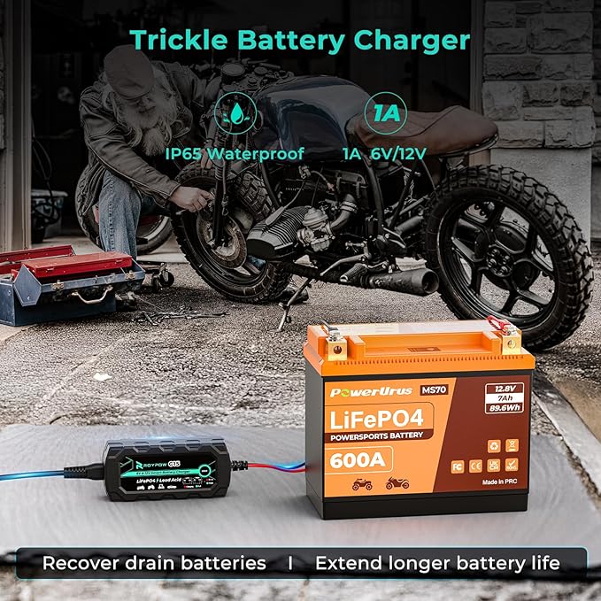 6V/12V 1A Lithium Battery Charger, RoyPow 1A Smart battery Chargers Automatic Trickle Battery chargers Battery Maintainer for Motorcycle, Car, ATVs, Lawn Mower, Lead Acid Batteries & Lithium Batteries