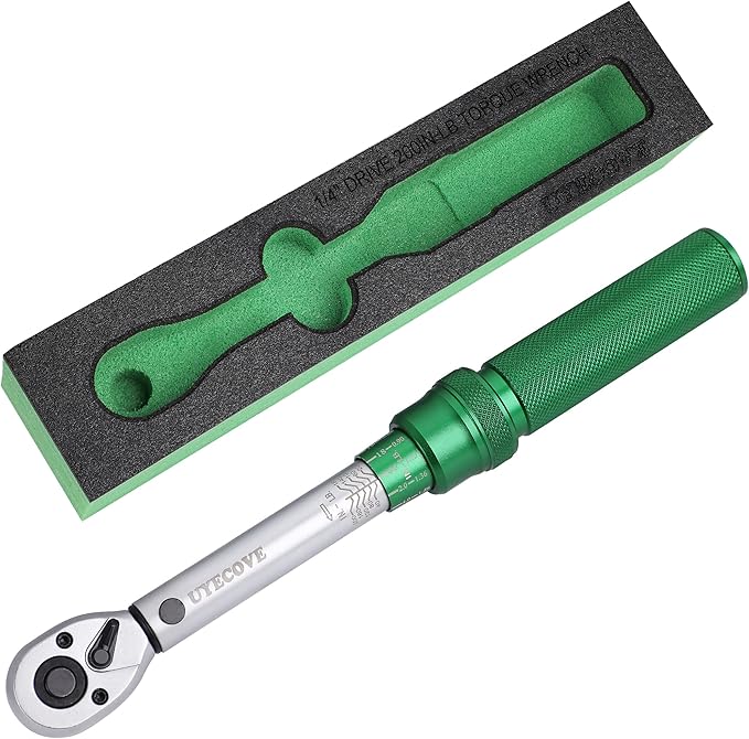 1/4-Inch Drive Click Torque Wrench, Bike Torque Wrench 20-200IN.LB/2.28-22.6N.M with a XIPE Storage Tray