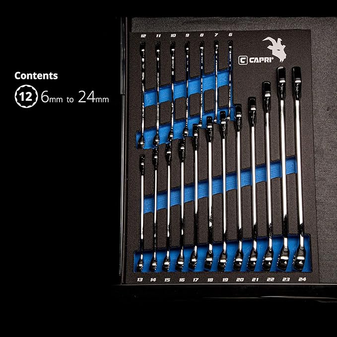 Capri Tools Combination Wrench Set with The Mechanic's Tray, Metric 6 to 24 mm, 19-Piece (CP11390MT)
