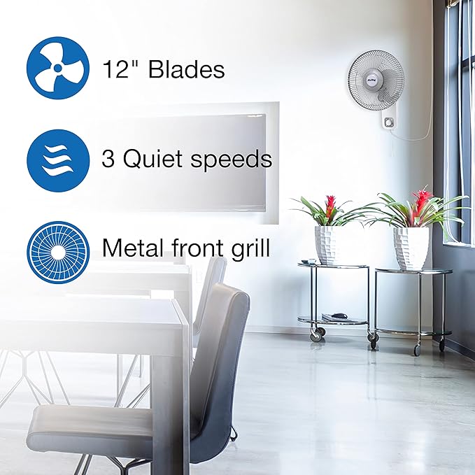 Air King 9012 Commercial Grade Oscillating Wall Mount Fan, 12-Inch , White