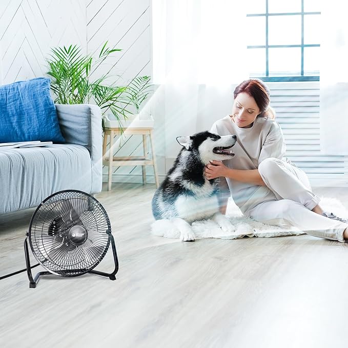 BEYOND BREEZE Floor Fan 9 Inch, 3-Speed Portable Metal Fan with Adjustable Tilt, Quiet Small Cradle Floor Fan for Home, Office, Bedroom
