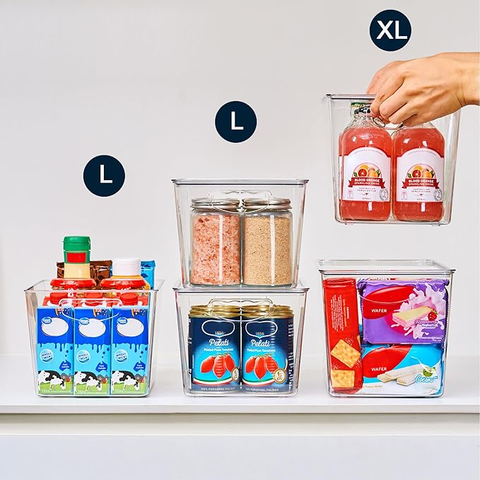 theaoo Clear Storage Bins with Lids Stackable - Large Plastic Containers for Pantry Organization and Storage - Perfect for kitchen,Fridge,Laundry Room,Bathroom,Garage,Closet,Cabinet Organizer -10 Pack