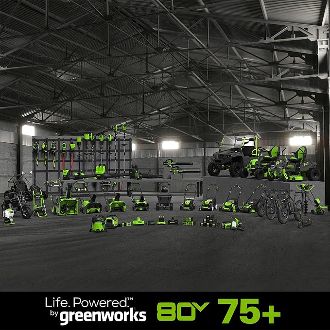 Greenworks Pro 80V (AC/DC) 2500-Lumen LED Work Light, Tool Only