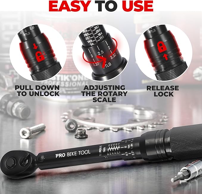 PRO BIKE TOOL Torque Wrench 3/8 Drive - Precision Torque Wrench for Bike Maintenance - 10 to 60 Nm Range with 0.5 Nm Micro Adjustments - Includes Adapters, Extension Bar and Storage Box - Black Matte