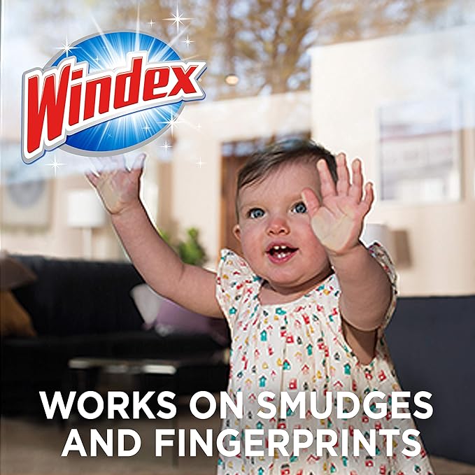 Windex Wipes Glass Cleaning, Pre-Moistened Glass and Surface Wipes to Clean Home Surfaces, Household Essentials, Original Scent, 38 Count (Pack of 12)