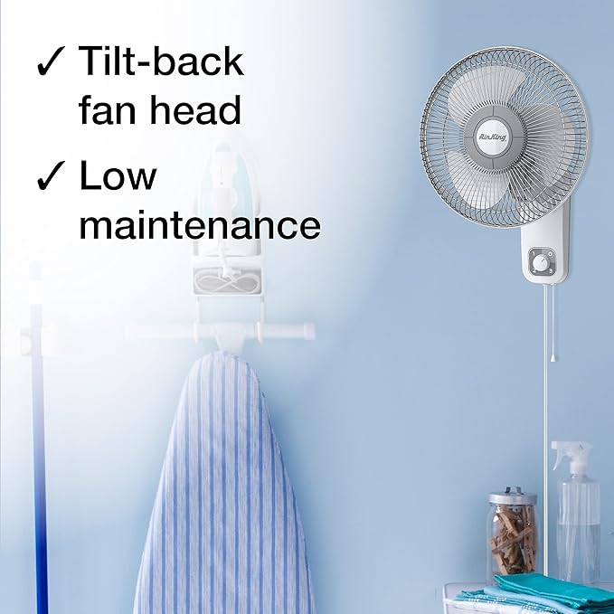 Air King 9012 Commercial Grade Oscillating Wall Mount Fan, 12-Inch , White