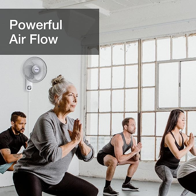 Air King 9012 Commercial Grade Oscillating Wall Mount Fan, 12-Inch , White