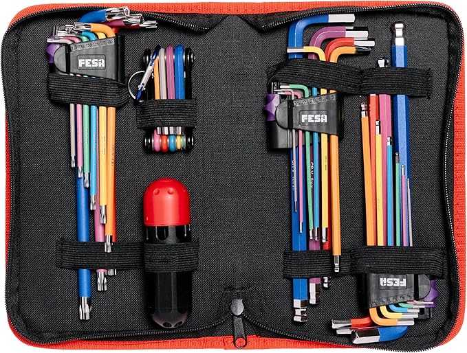 FESA Jumbo Allen Wrench Set - 29-Piece Torx, Standard & Metric Allen Wrenches with Micro to Large Ball Ends - Hex Keys with Folding Hex Tool, T-Handle & Storage Case